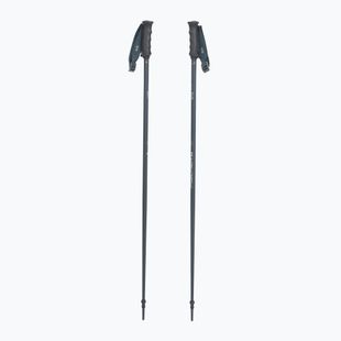 Ski poles Fischer Lite asphalt grey
