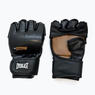 Grappling gloves Everlast Titan MMA black