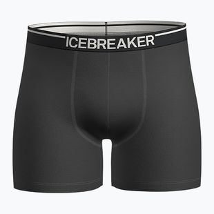 Men's thermal boxer shorts icebreaker Anatomica plume jet heather