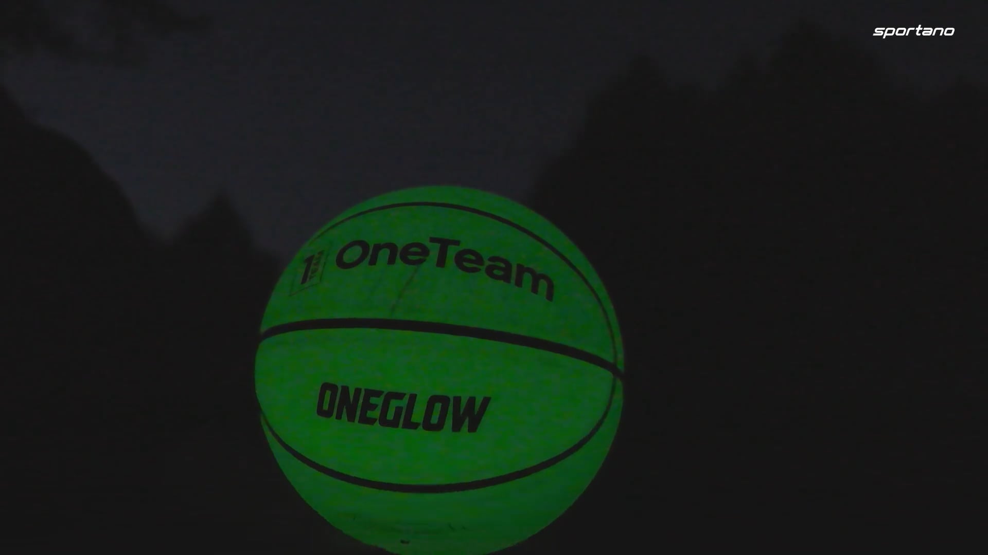 OneTeam basketball Luminescent black