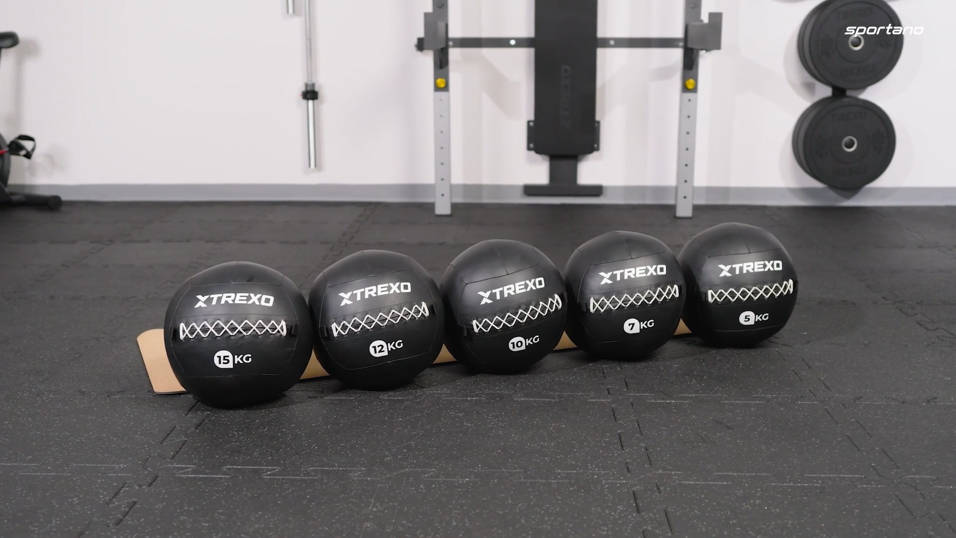 TREXO Wall Ball 5 kg black