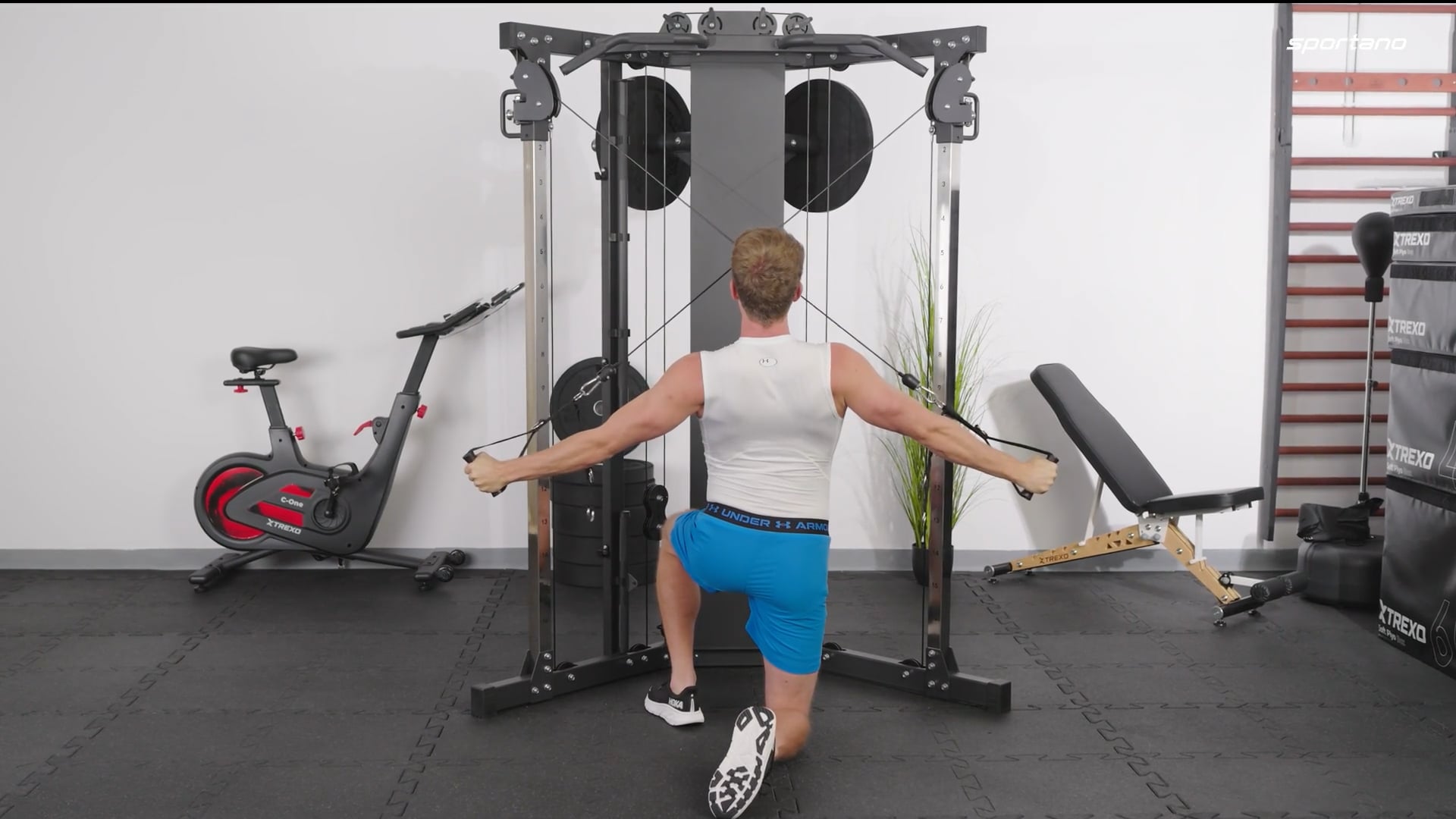 Training gate TREXO Odys Commercial black