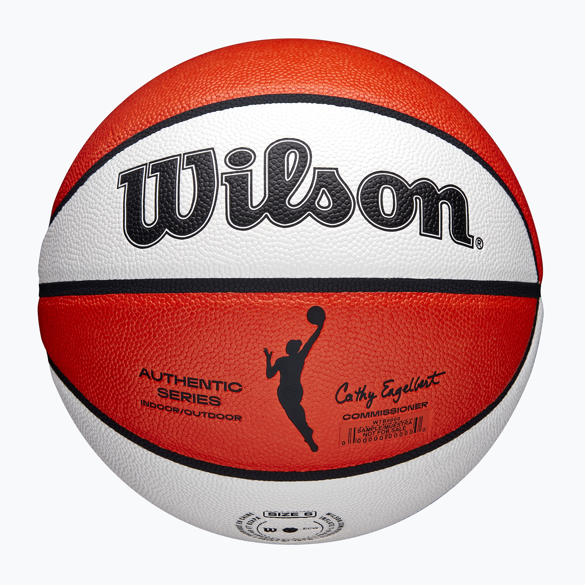 Wilson basketball (6)