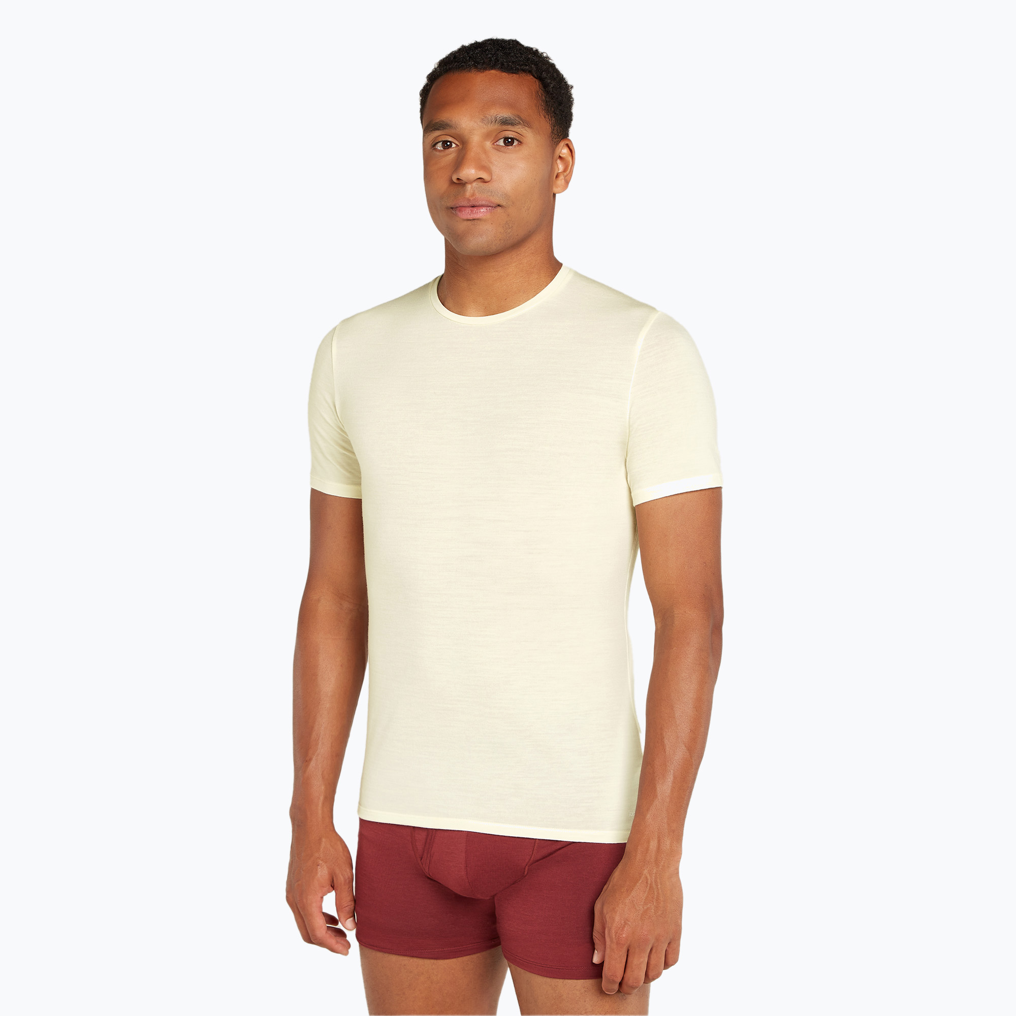 Men's Icebreaker Anatomica Crewe undyed trekking shirt (L)