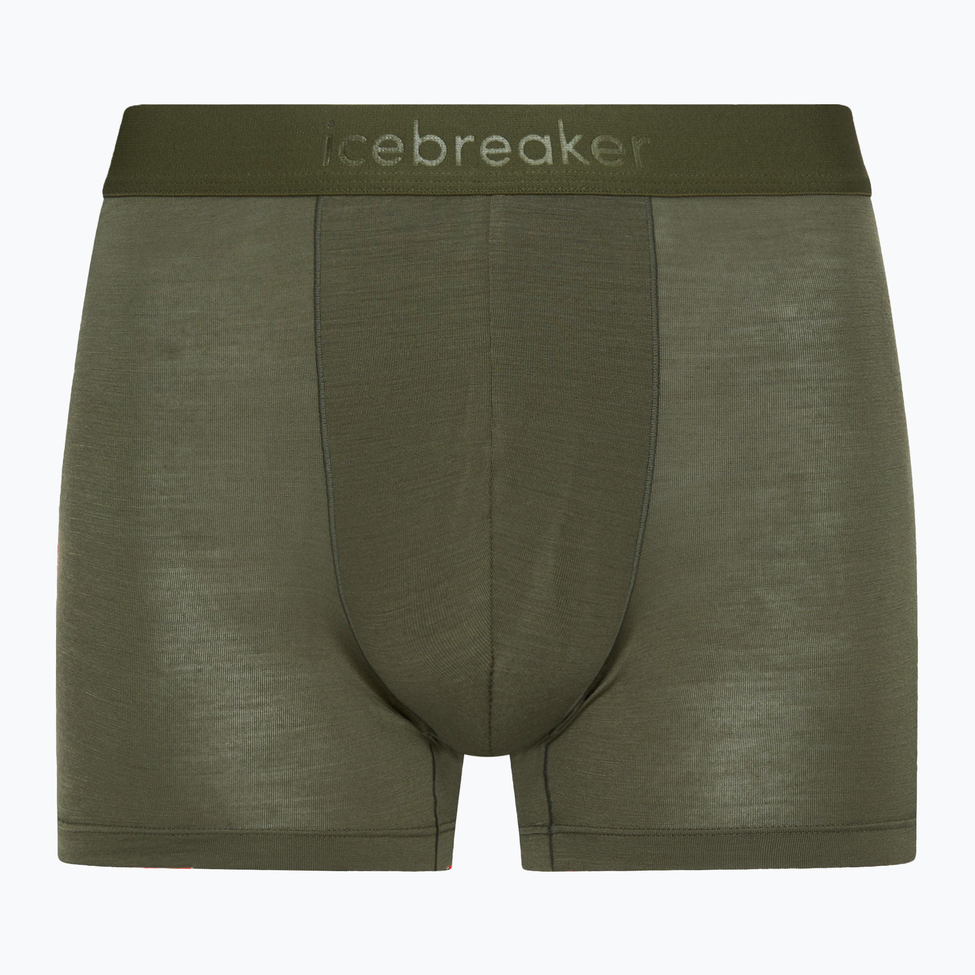 Men's thermal boxer shorts icebreaker Merino 125 Cool-Lite Anatomica loden