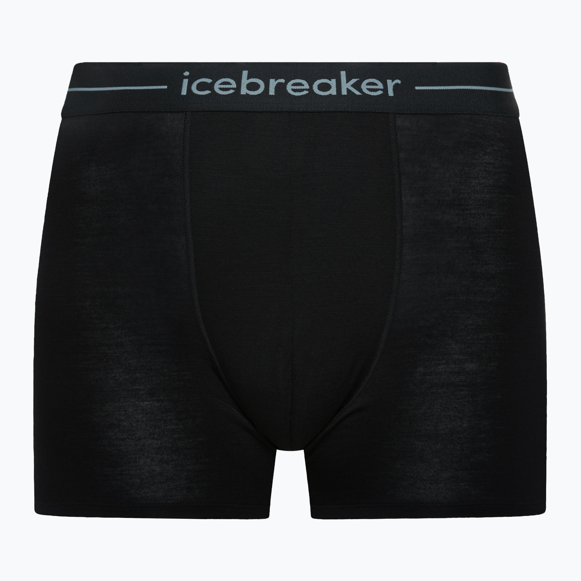 Men's thermal boxer shorts icebreaker Anatomica black (S)