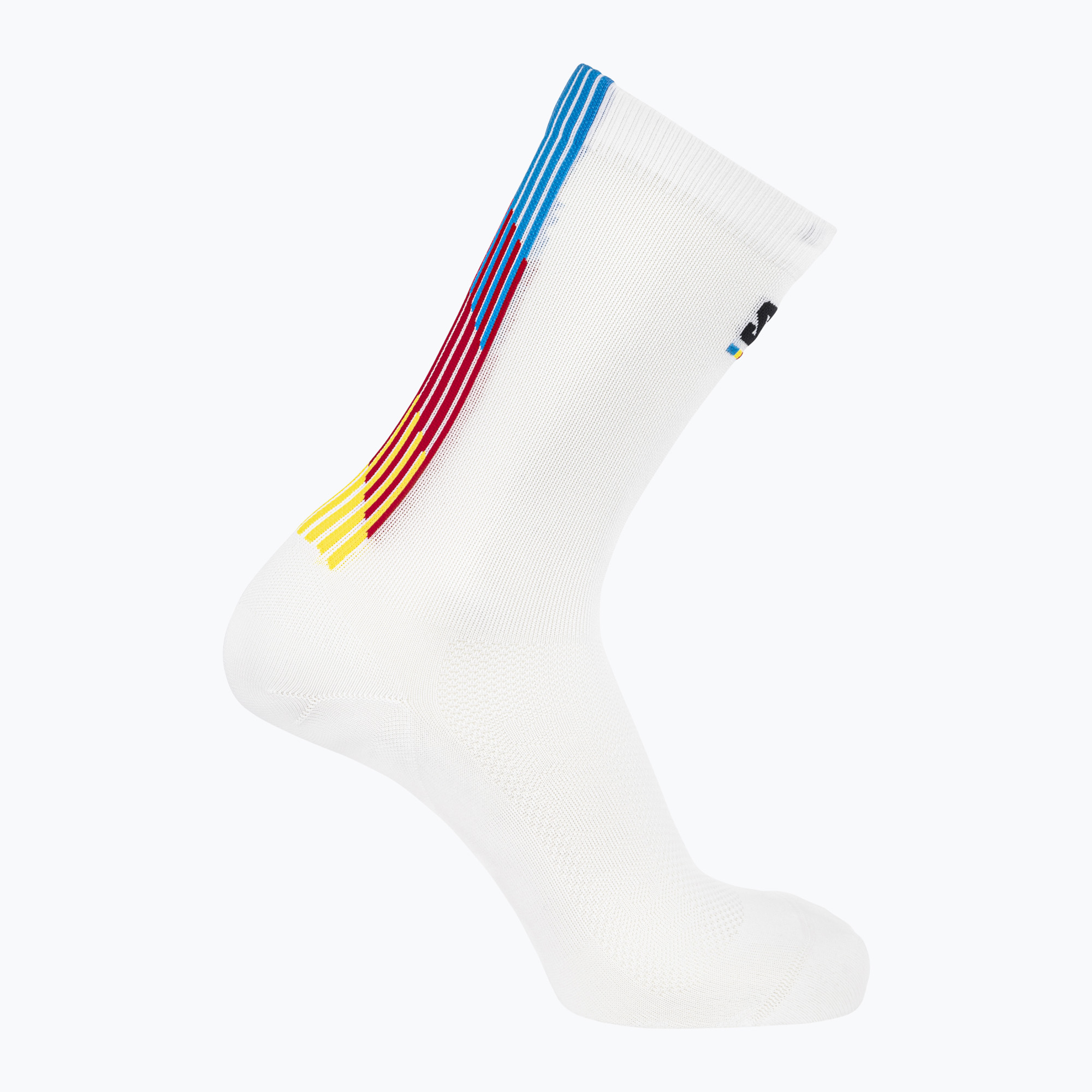 Salomon Pulse Race Flag Crew socks white (45-47 EU)