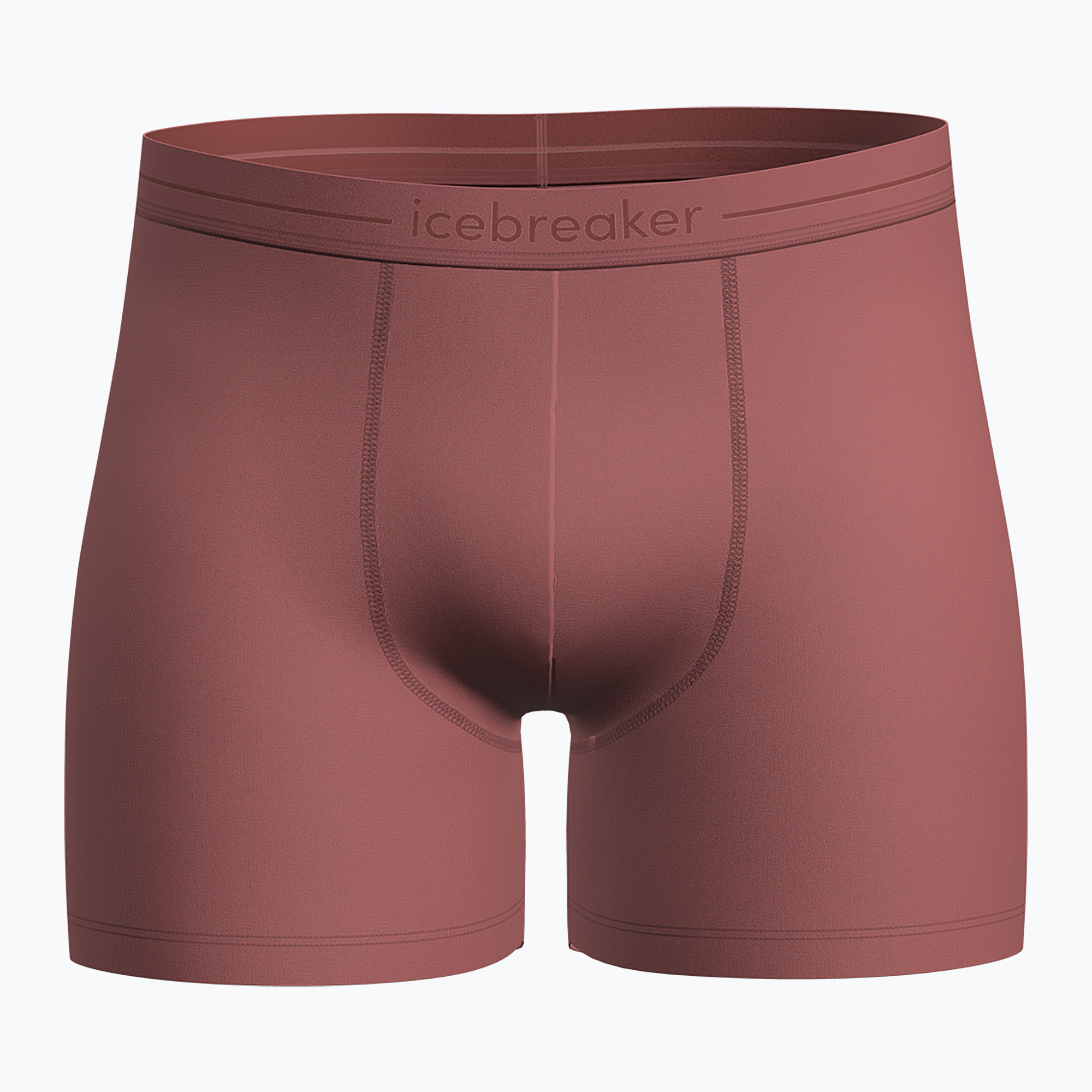 Men's thermal boxer shorts icebreaker Anatomica plume (L)