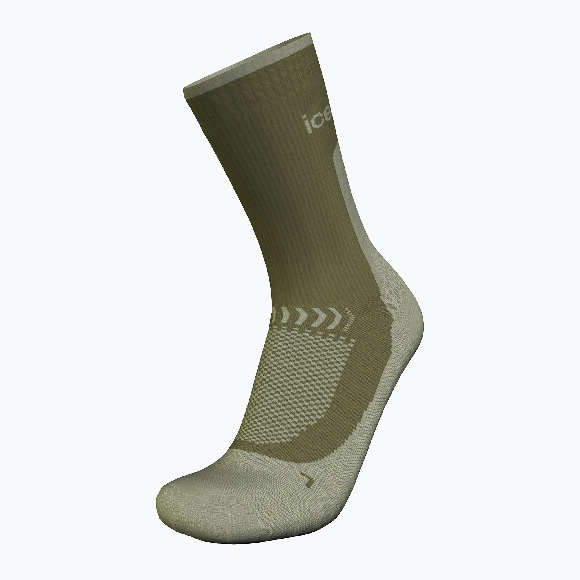 Icebreaker men's trekking socks Merino Hike+ Light Crew loden/lichen (M)