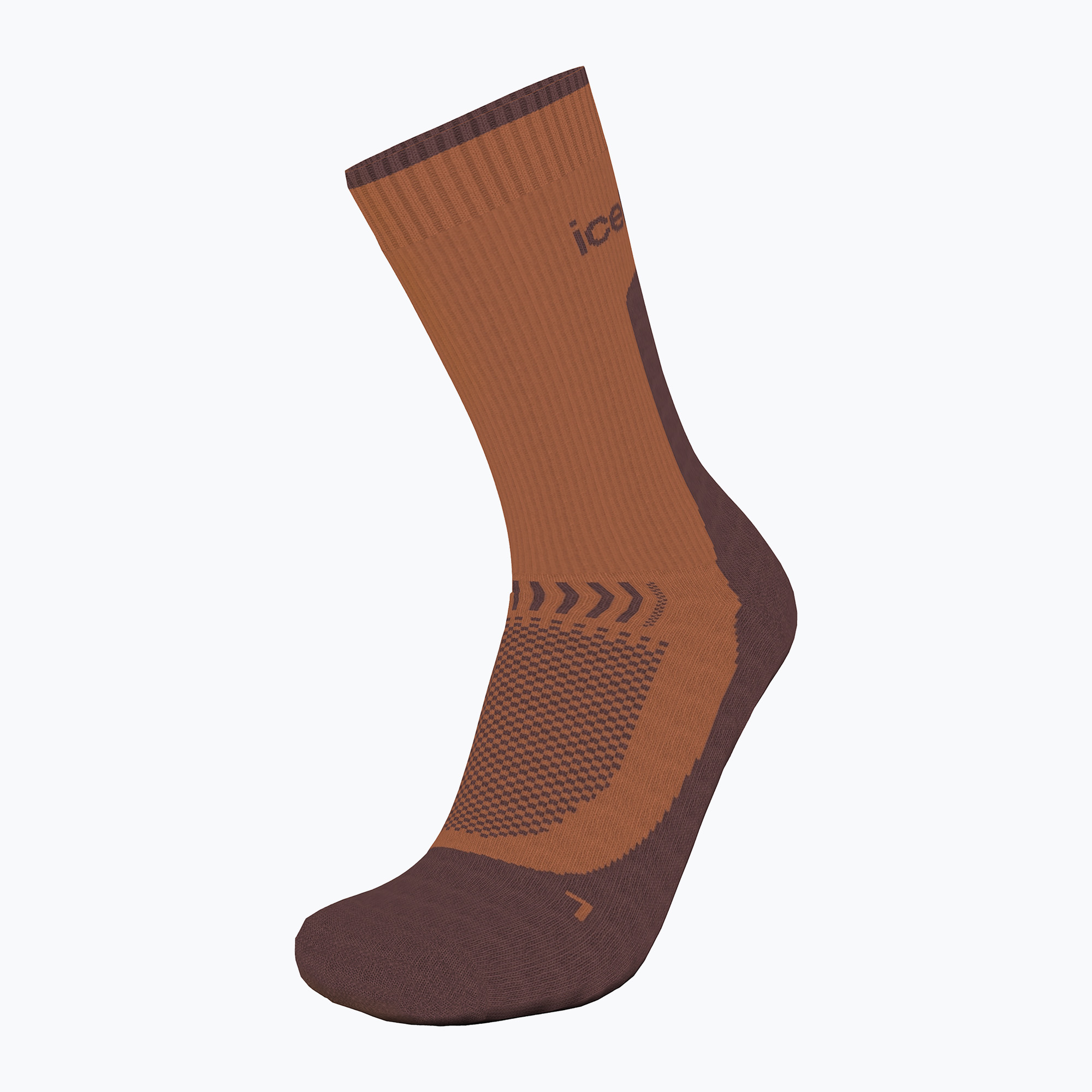 Icebreaker women's trekking socks Merino Hike+ Light Crew dusty clay/carob (S)