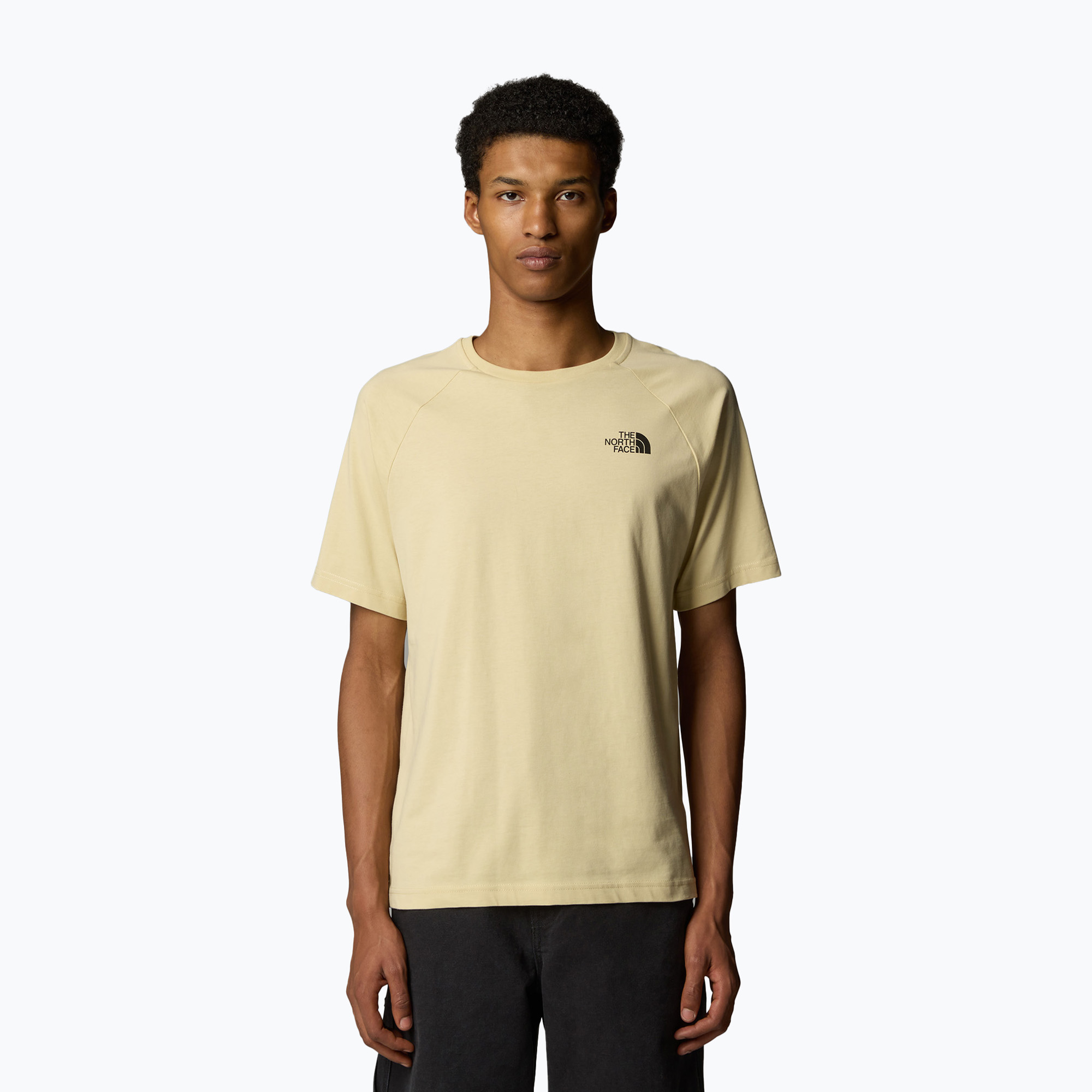 Men's T-shirt The North Face North Faces gravel (M)