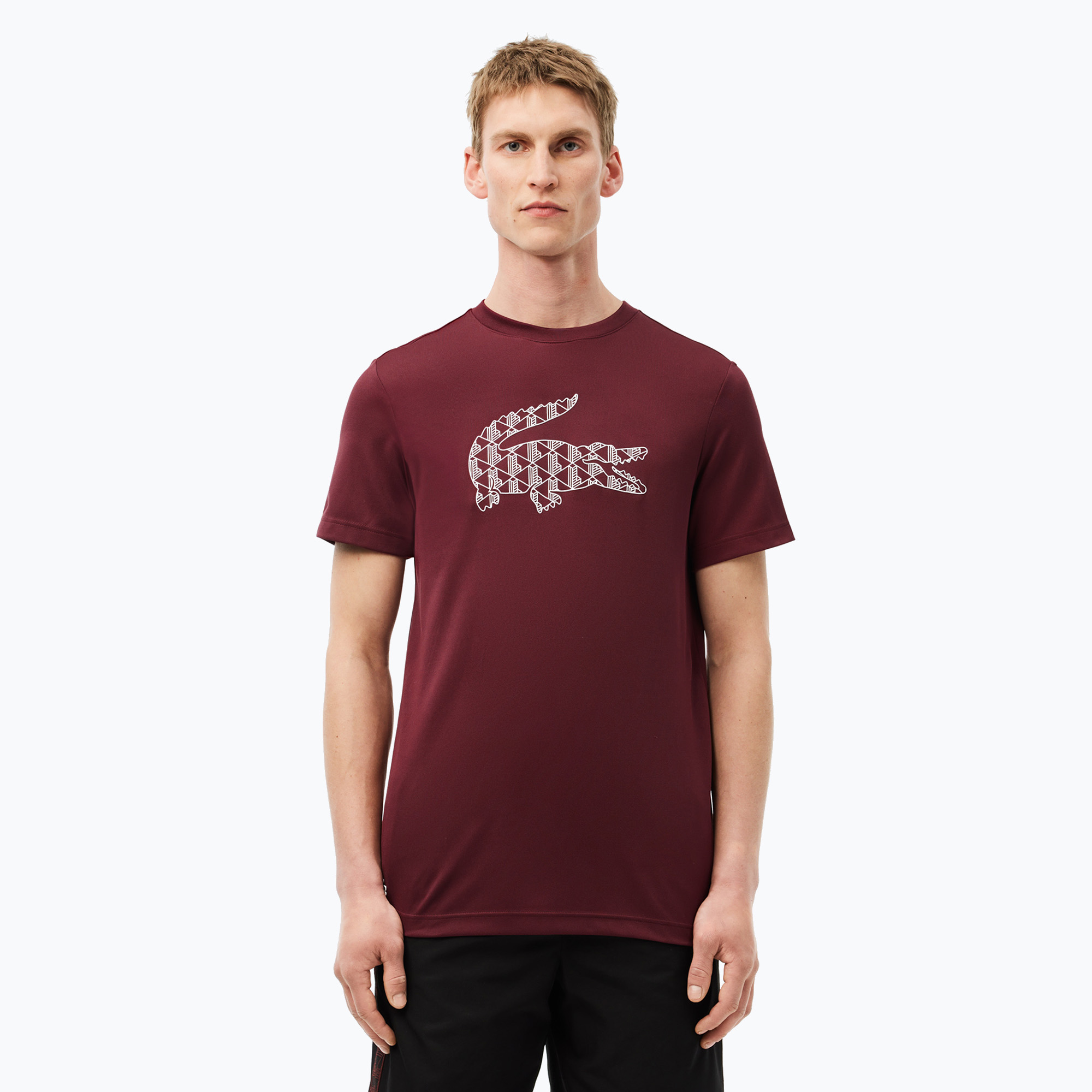 Lacoste men's t-shirt TH2623 expresso (S)