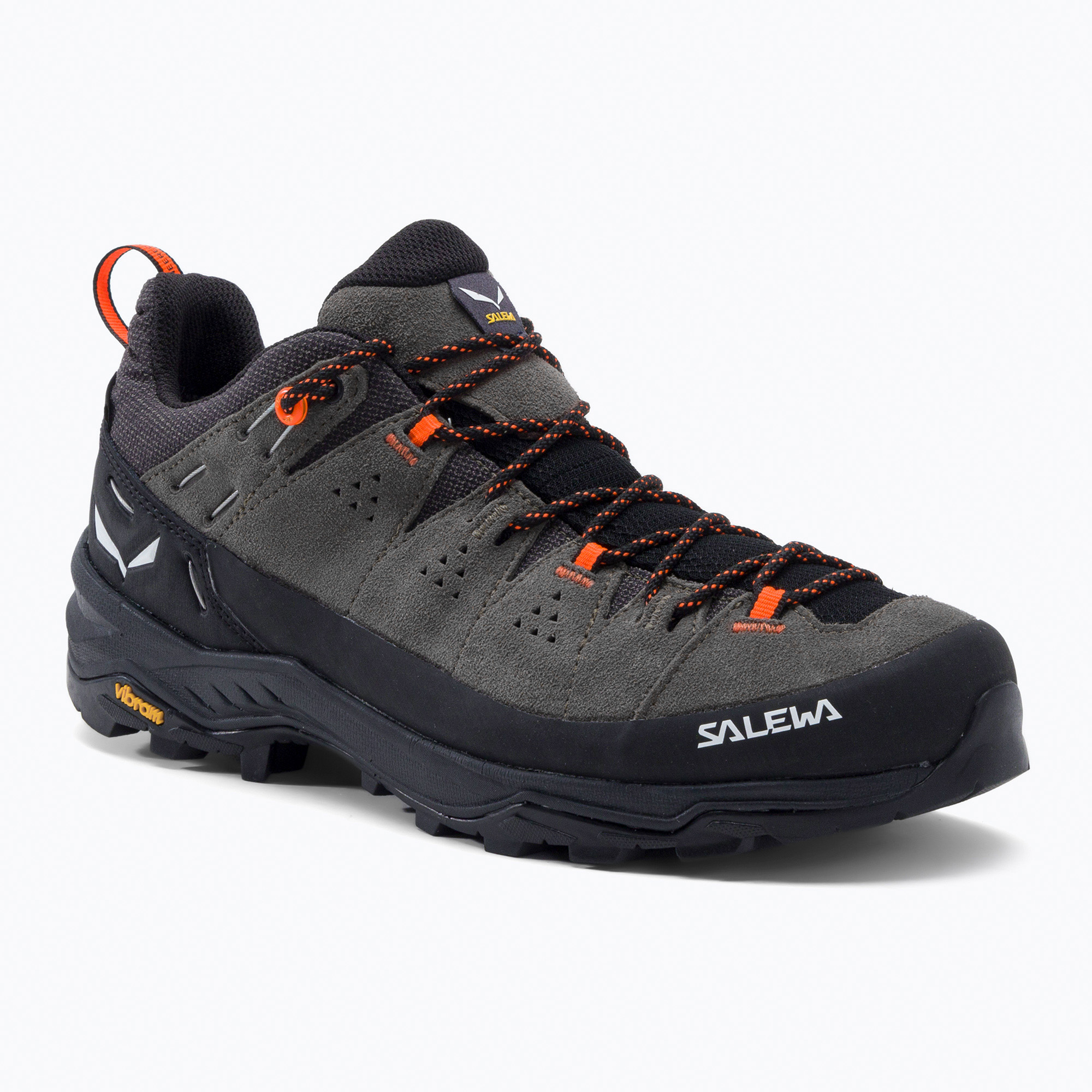 Men's trekking boots Salewa Alp Trainer 2 GTX bungee cord 00-0000061400 (41 (7.5 UK))