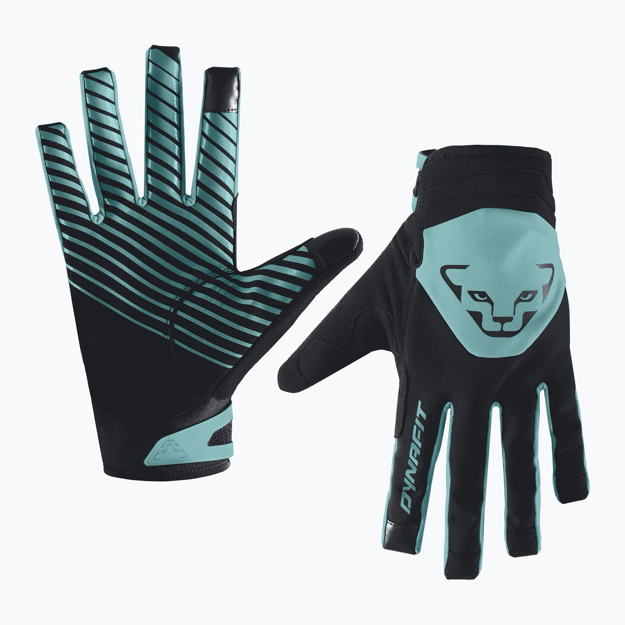 DYNAFIT Radical 2 Softshell ski glove marine blue