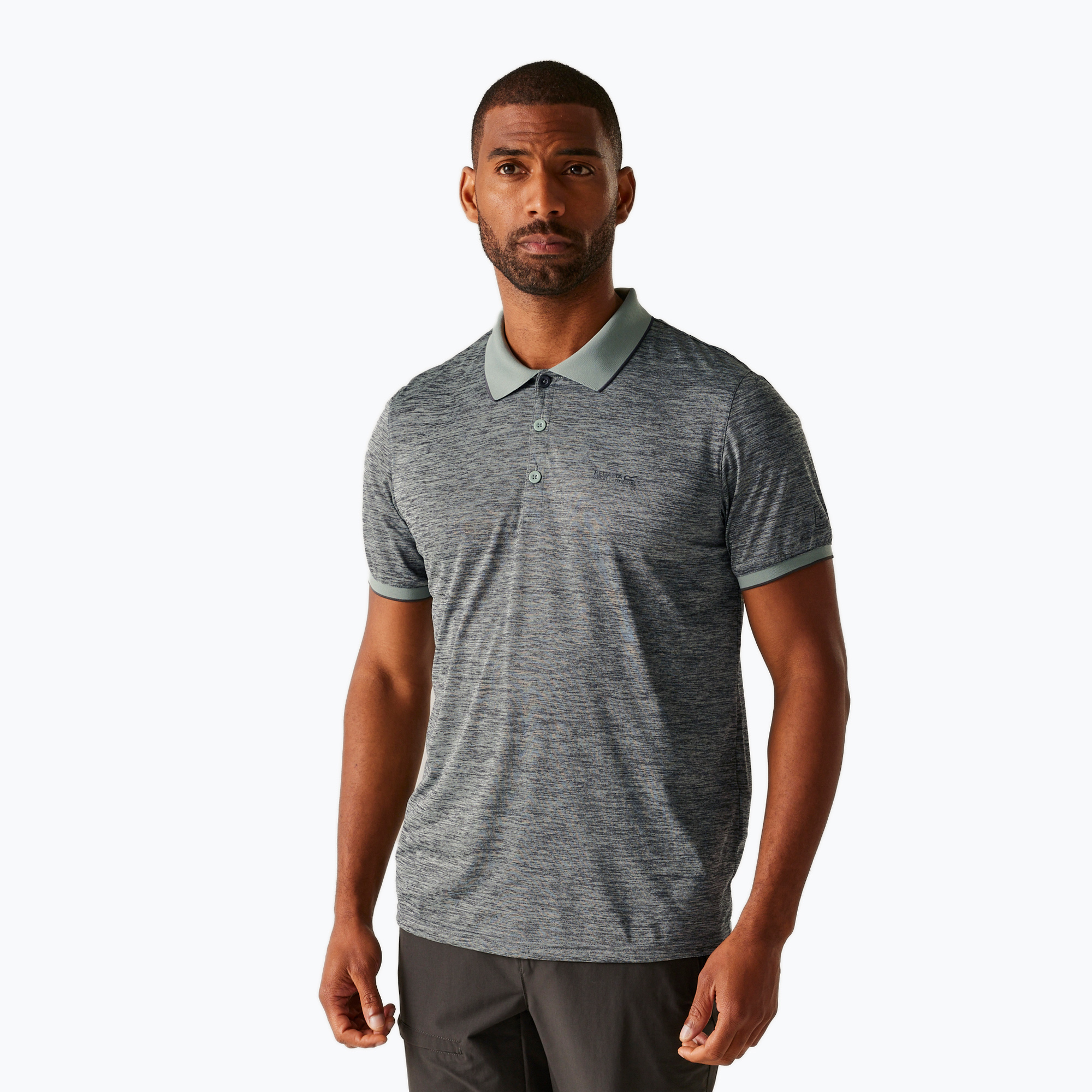 Men's trekking T-shirt REGATTA Polo Remex II glacier