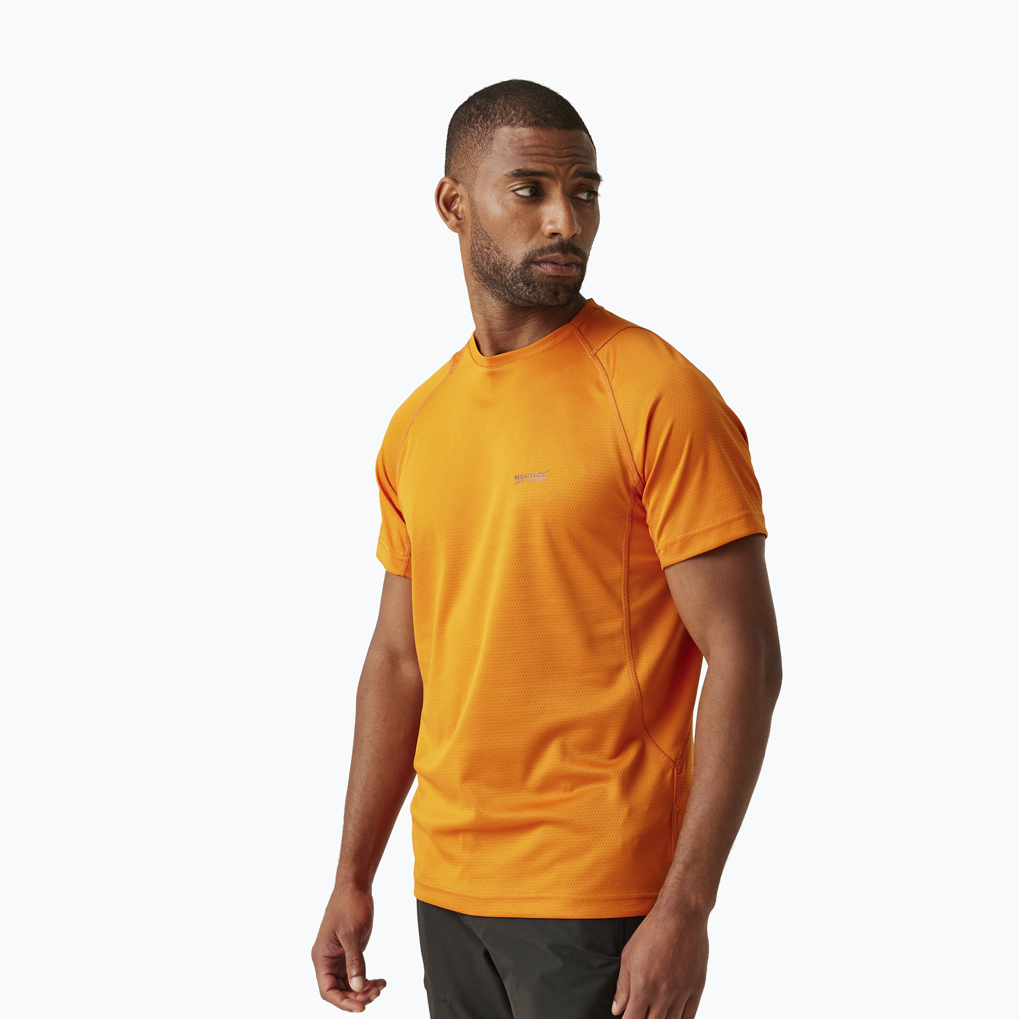 Men's T-shirt REGATTA Virda IV fox (S)