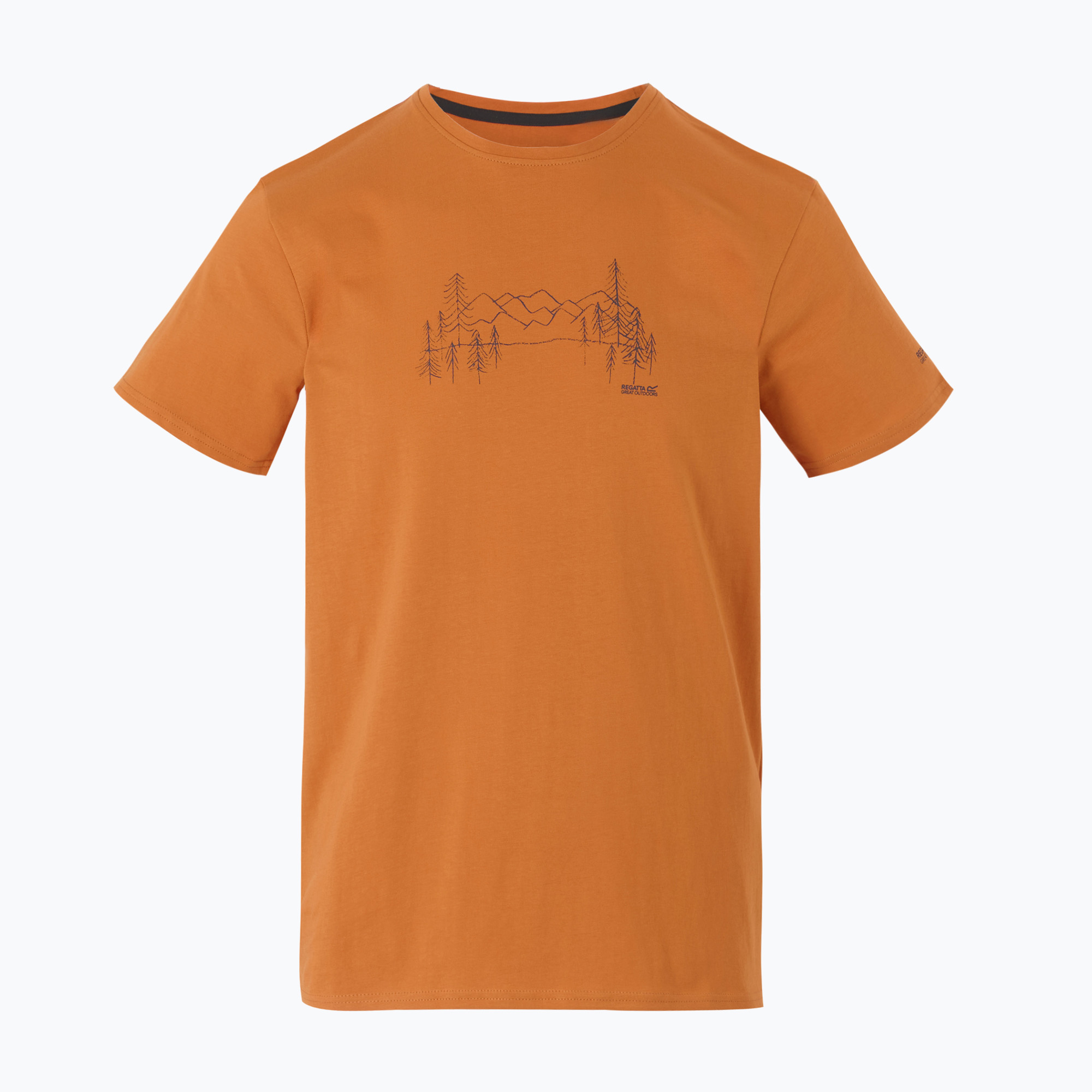Men's trekking T-shirt REGATTA Breezed V fox