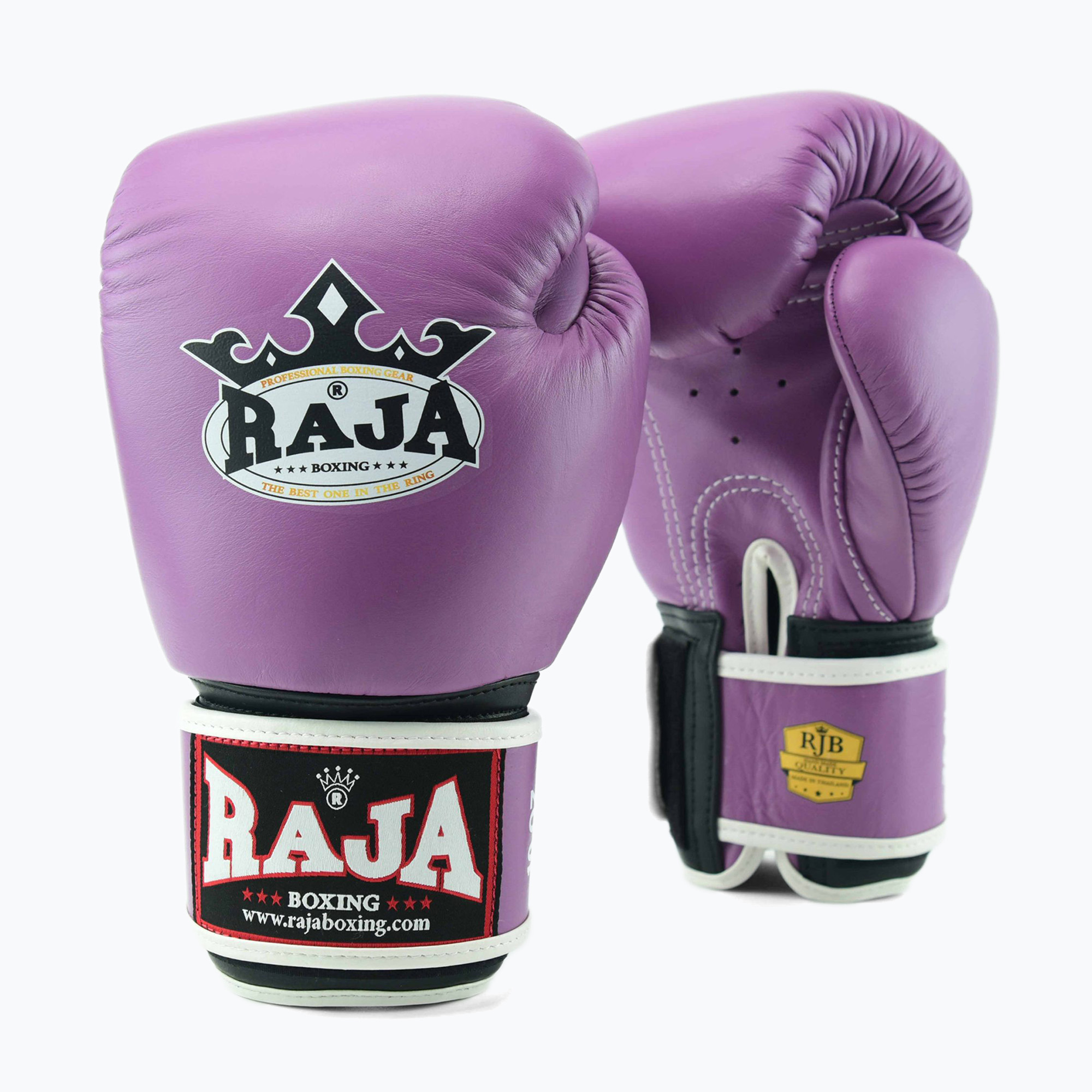 Boxing gloves RAJA BOXING Single Standard Genuine Leather purple (8 oz)