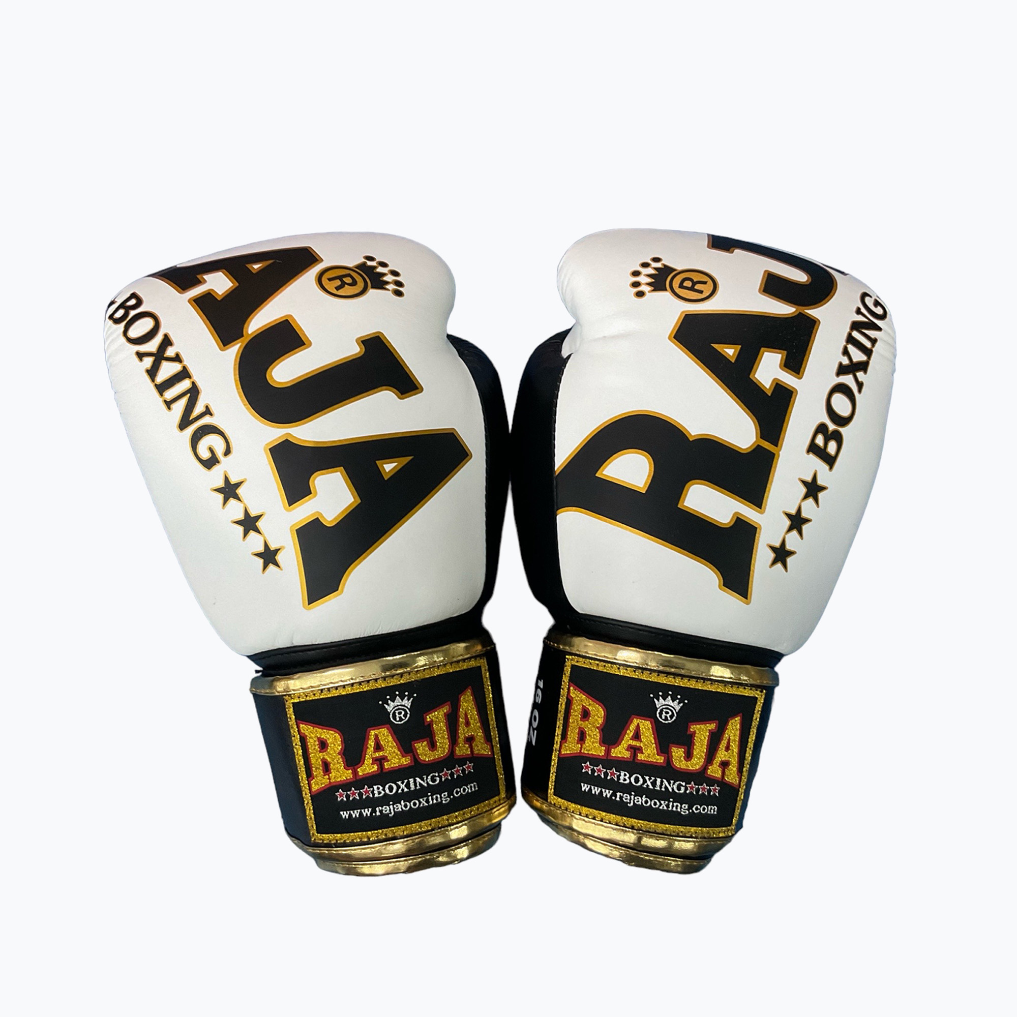 Boxing gloves RAJA BOXING Origin Standard Genuine Leather white (10 oz)