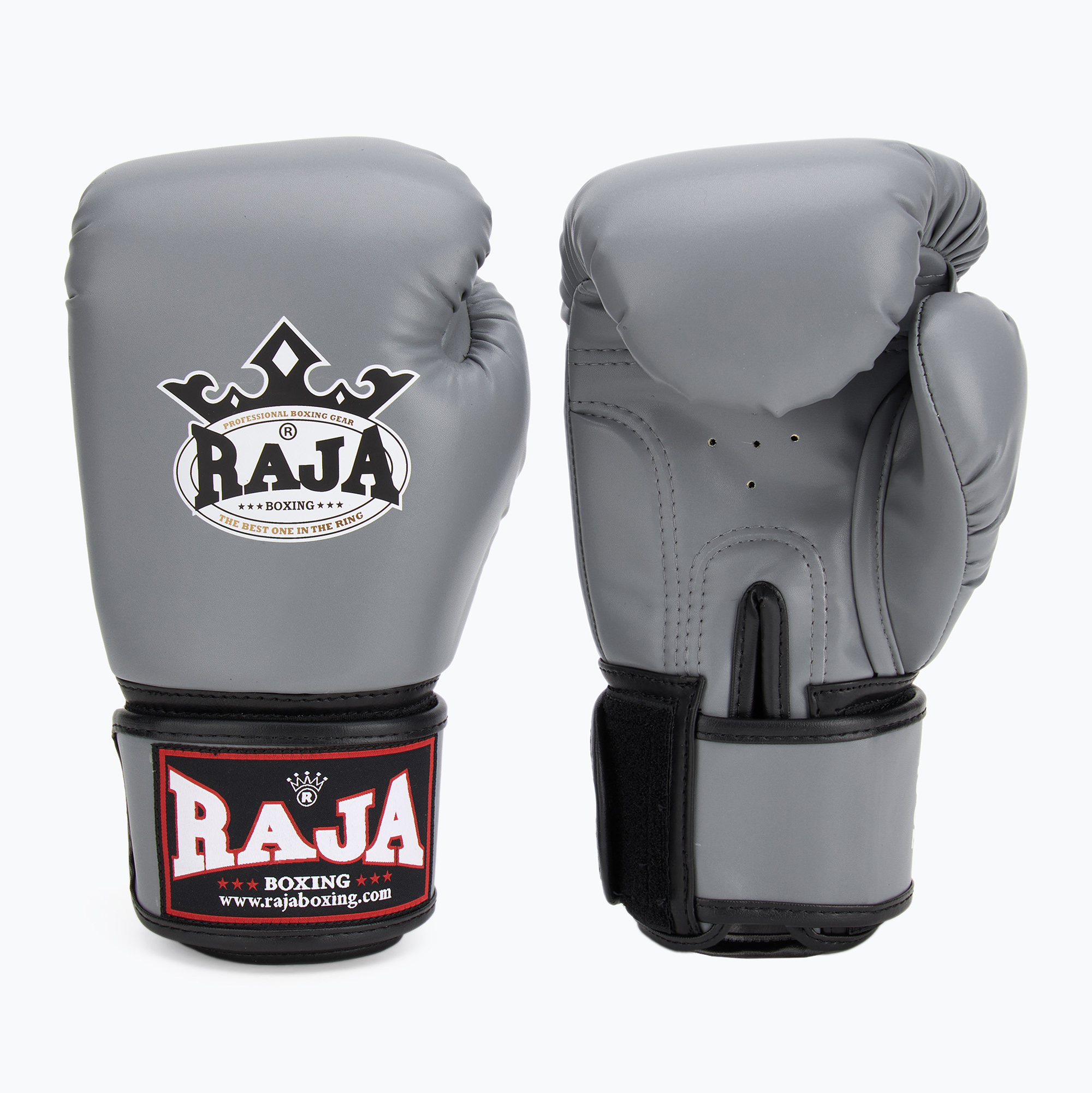 Boxing gloves RAJA BOXING Single Semi Leather grey (10 oz)