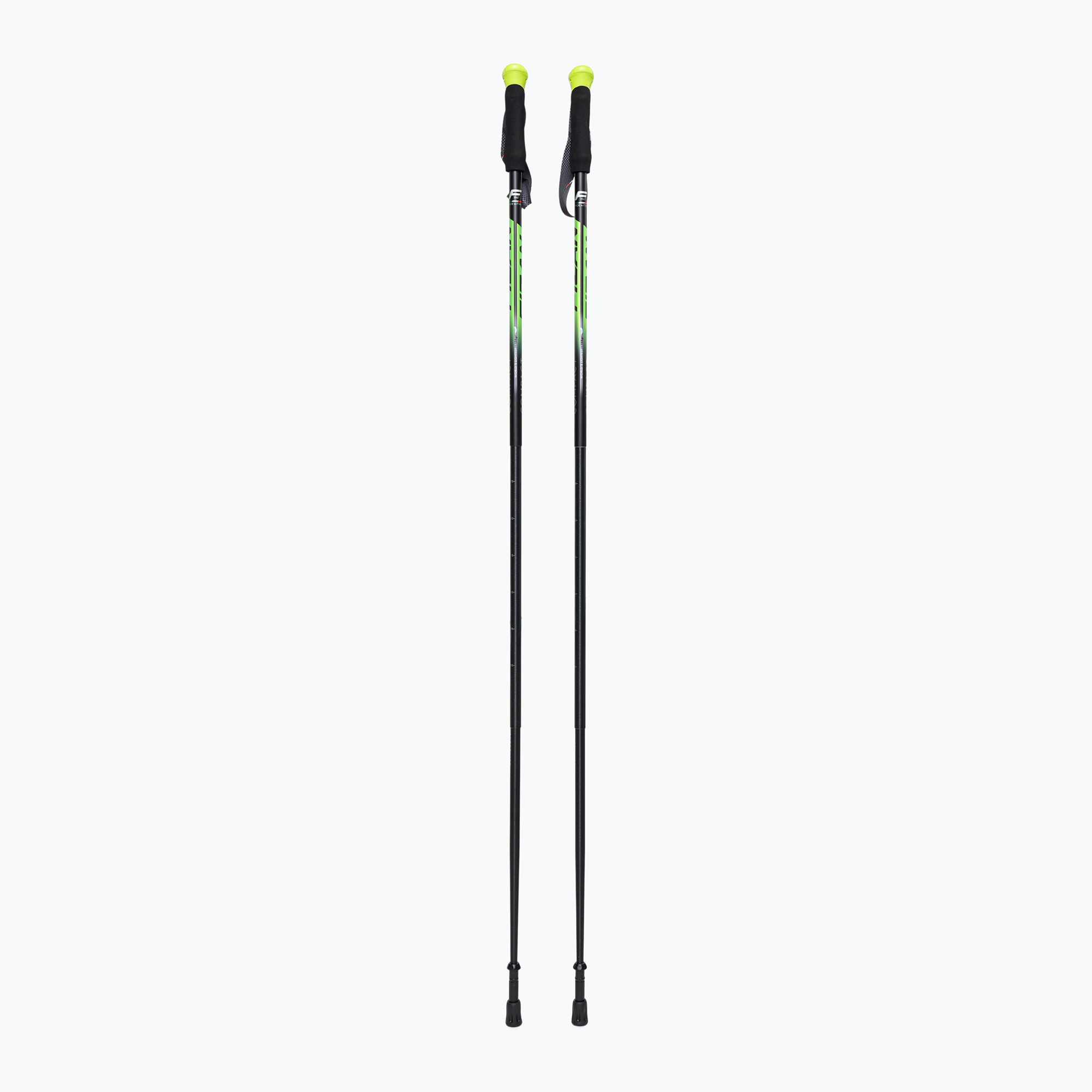 Fizan Compact green S20 7101 trekking poles