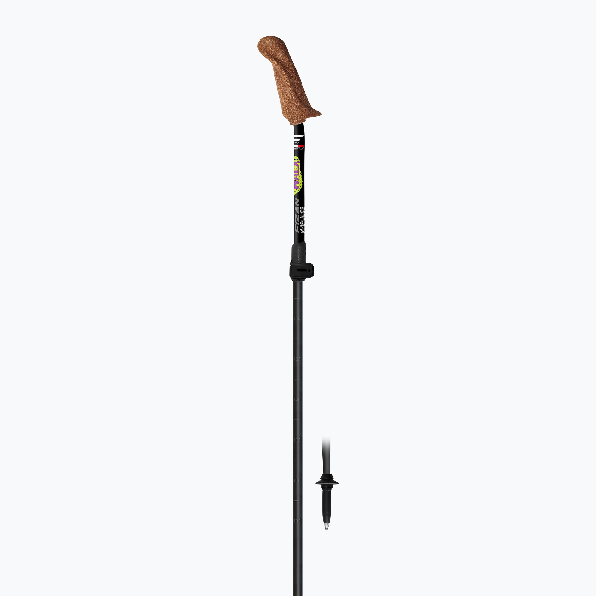 Fizan Walx Pro Nordic walking poles (117-130 cm)
