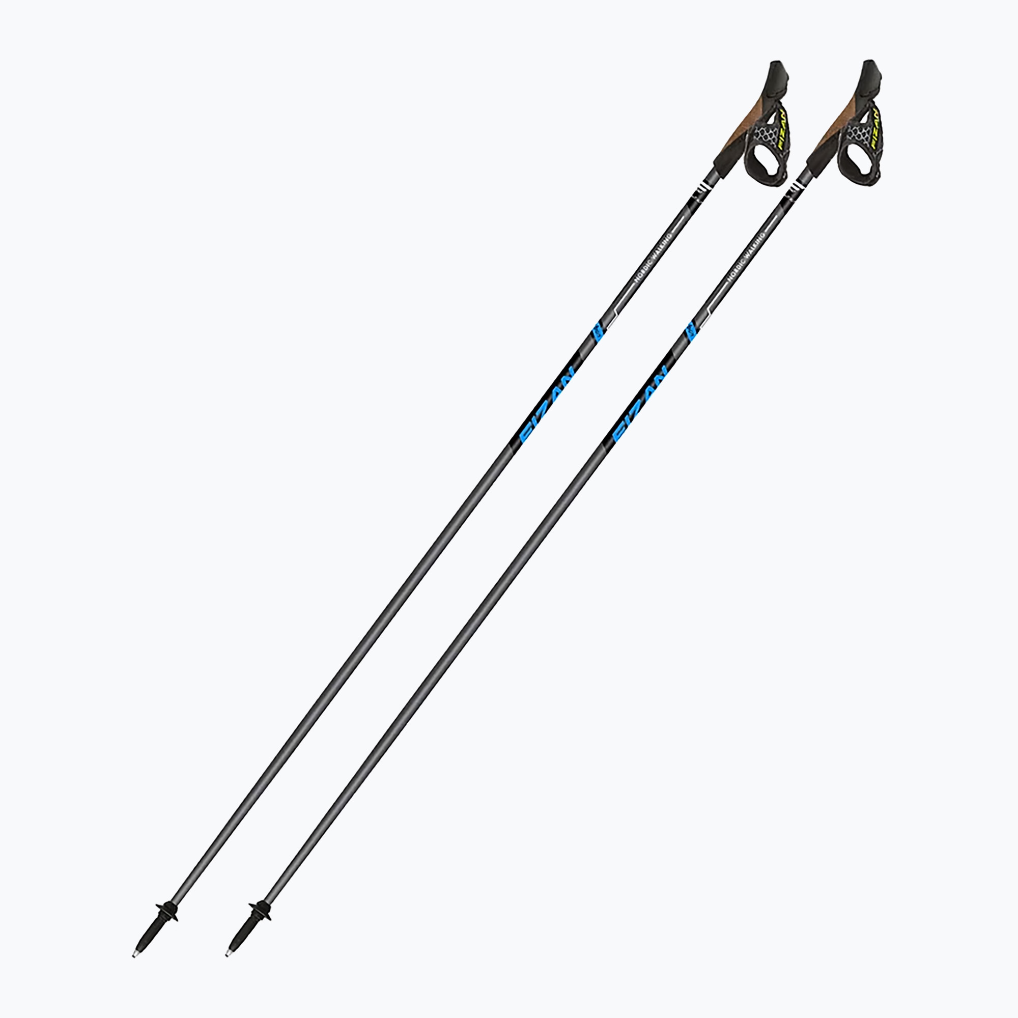Nordic walking poles Fizan Runner blue (110 cm)