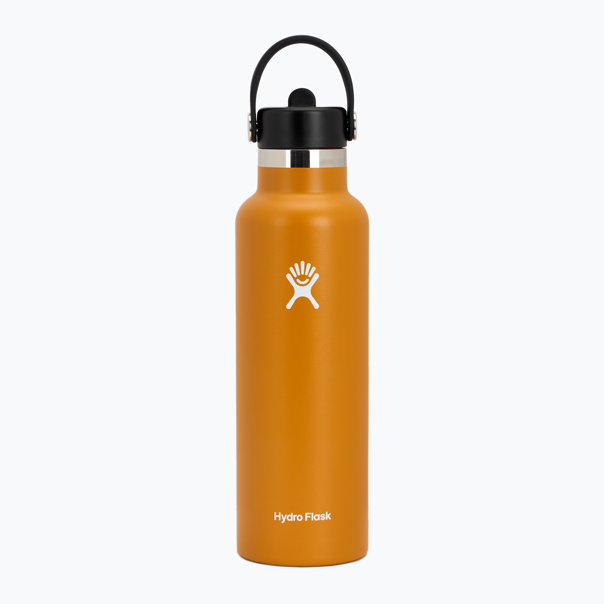 Hydro Flask Standard Flex Straw thermal bottle 620 ml fossil (620 ml)