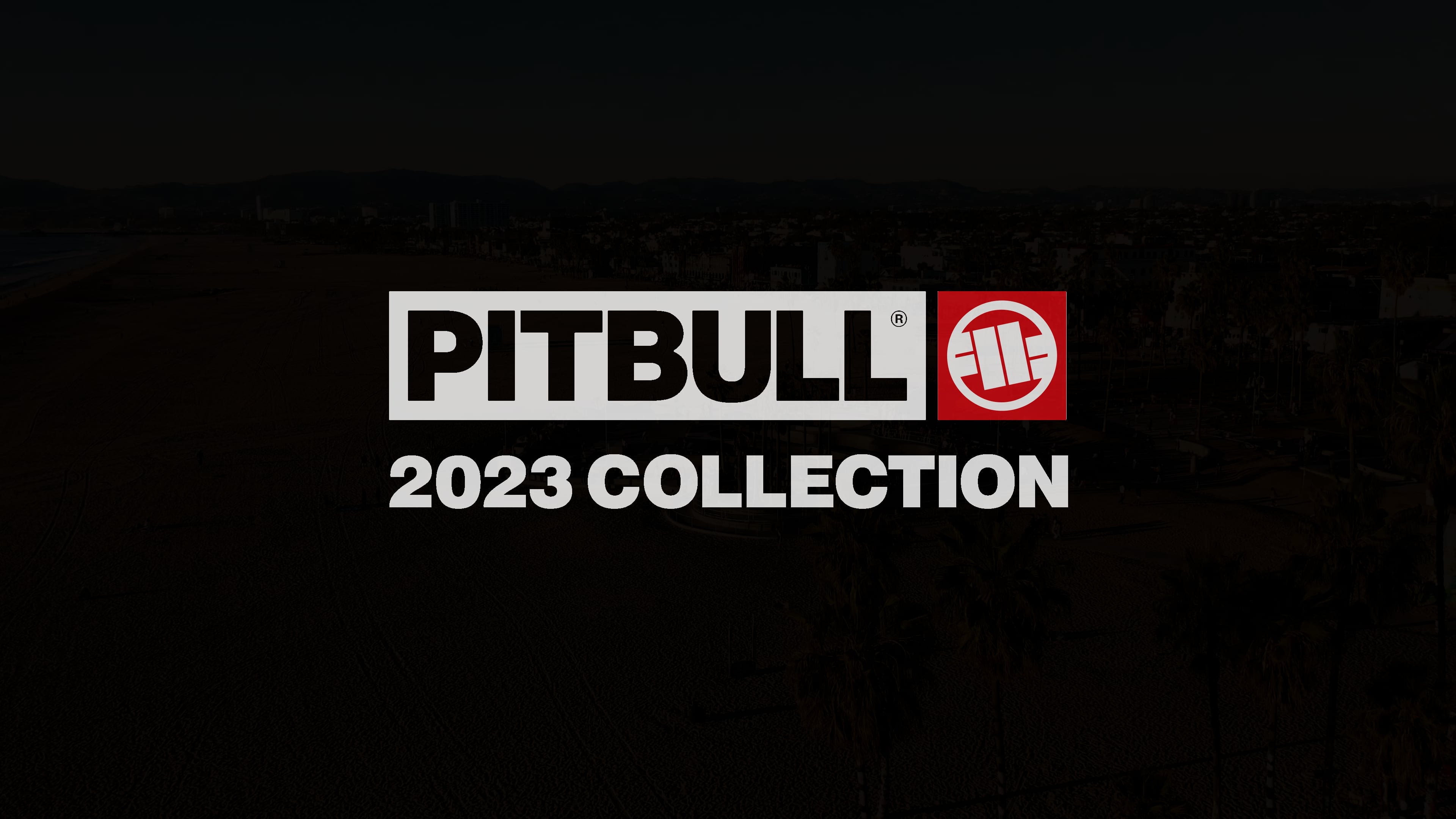 Men's T-shirt Pitbull West Coast T-S Hilltop 170 mint