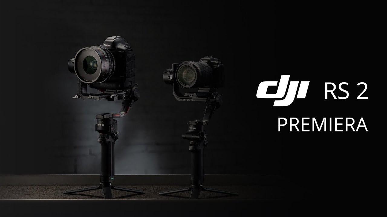 Stabilizer for DJI RS 2 camera black CP.RN.00000093.02