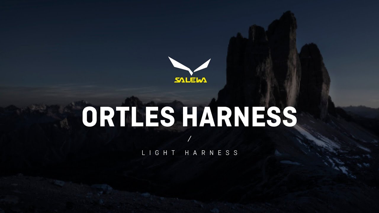 Salewa Ortles Climbing Harness yellow 00-0000001751