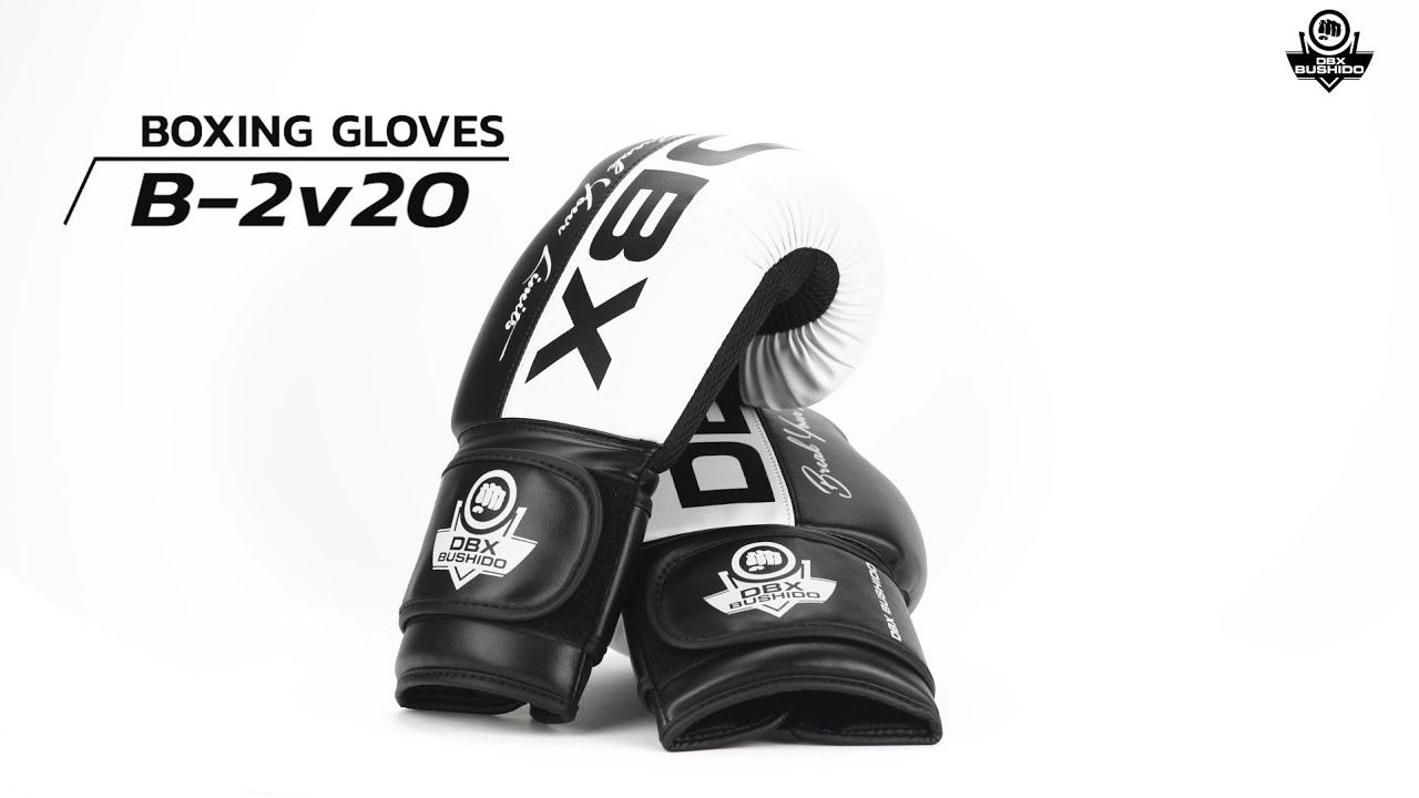 DBX BUSHIDO B-2V20 Active Clima sparring gloves