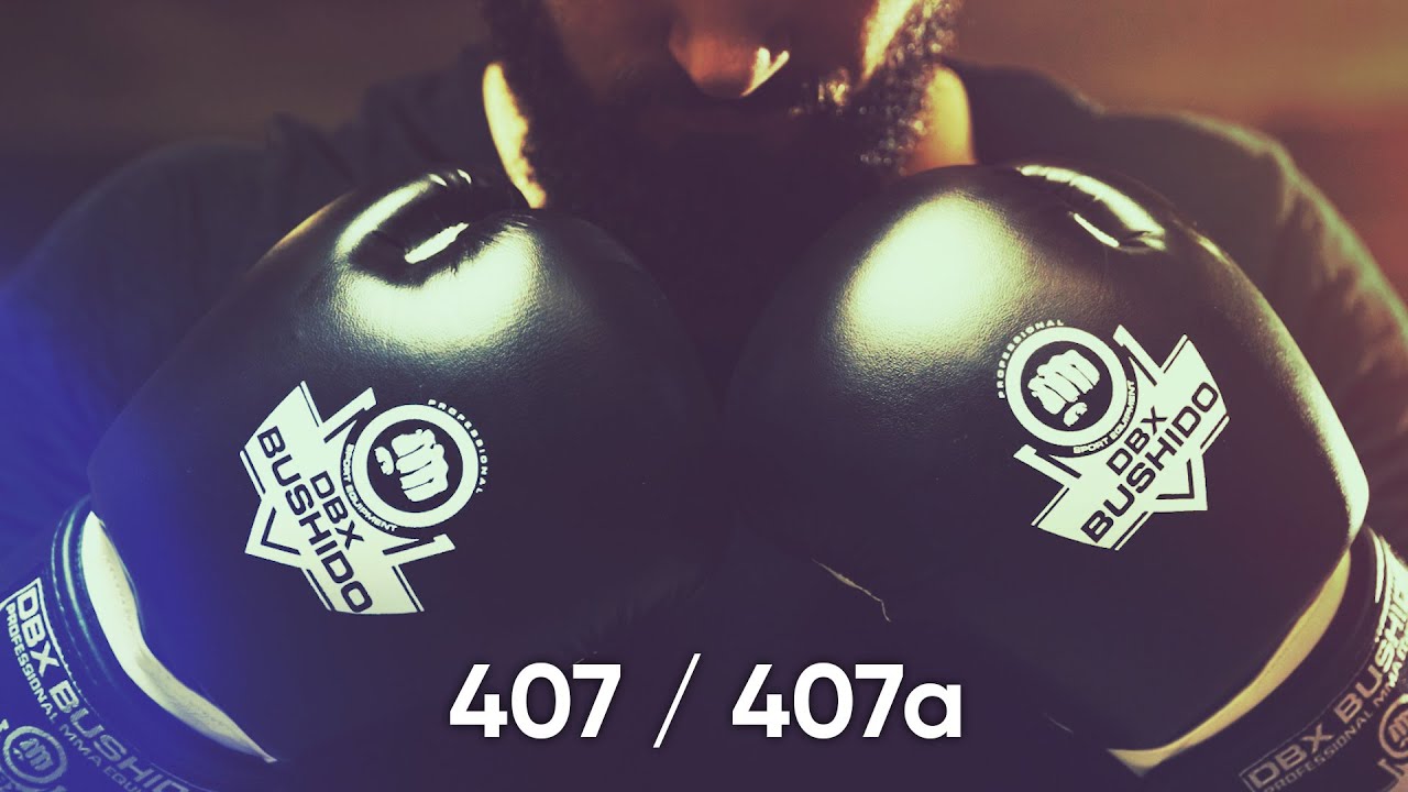 DBX BUSHIDO ARB-407 black/white boxing gloves