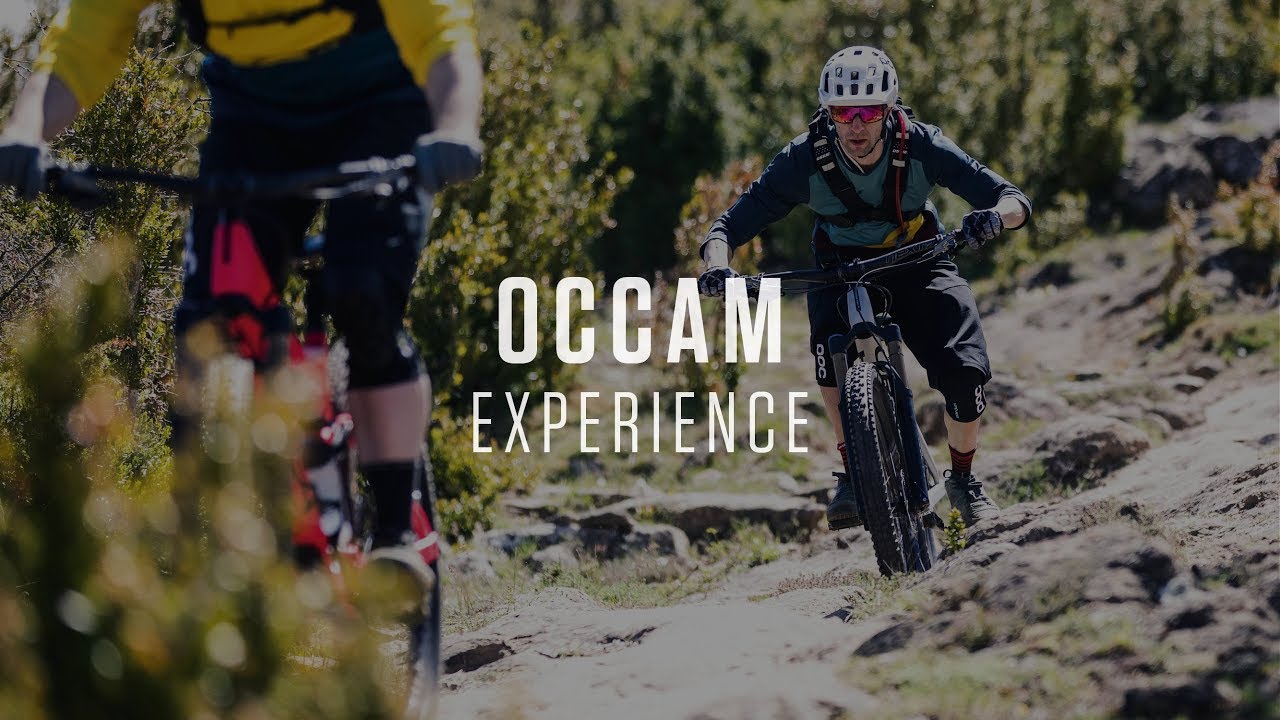 Orbea Occam H10 2023 dark green/lime green mountain bike
