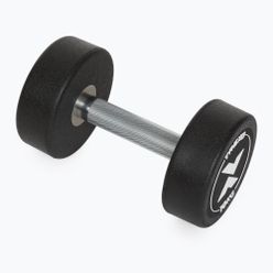 Rubber-coated cast iron dumbbell XTREXO Pro 10 kg black