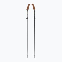 Fizan Walx Pro Nordic walking poles