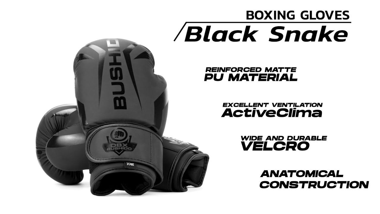 DBX BUSHIDO 'Raptor' boxing gloves black