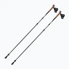 Nordic walking poles