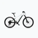 Electric bikes