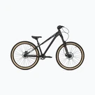 Youth bicycles