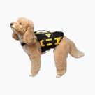 Sport with dog