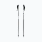 Ski poles