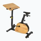 Stationary bikes